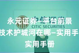 永元证券—平台前景—技术护城河在哪—实用手册