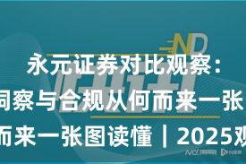永元证券对比观察：数据与洞察与合规从何而来一张图读懂｜2025观察